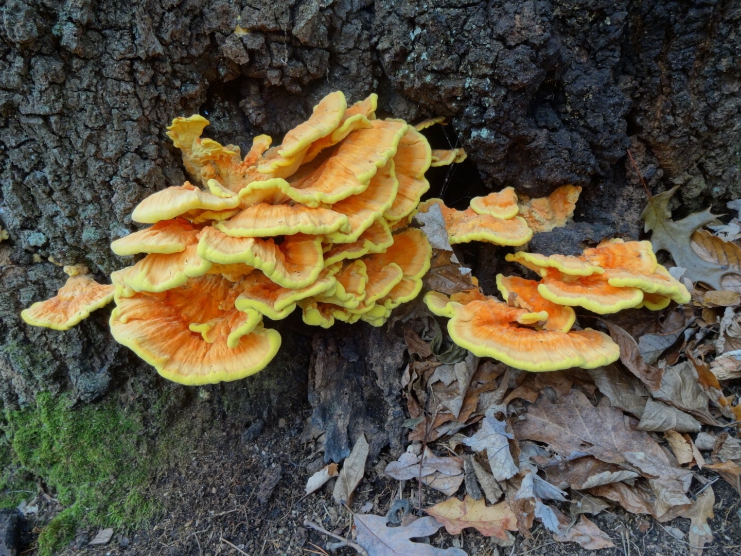 Visit Sugar Grove Best of Sugar Grove, Ohio Travel 2022 Expedia Tourism