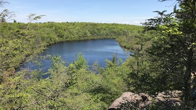 West Pond view from Abraham Hewitt hike (blue white yellow trail )