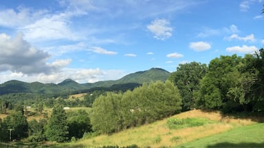 View from a friend's front porch, July 4, 2015 following a morning of rain. It turned out to be a lovely day! If you ever get a chance to visit western NC, I hope you have a day as beautiful as this.  