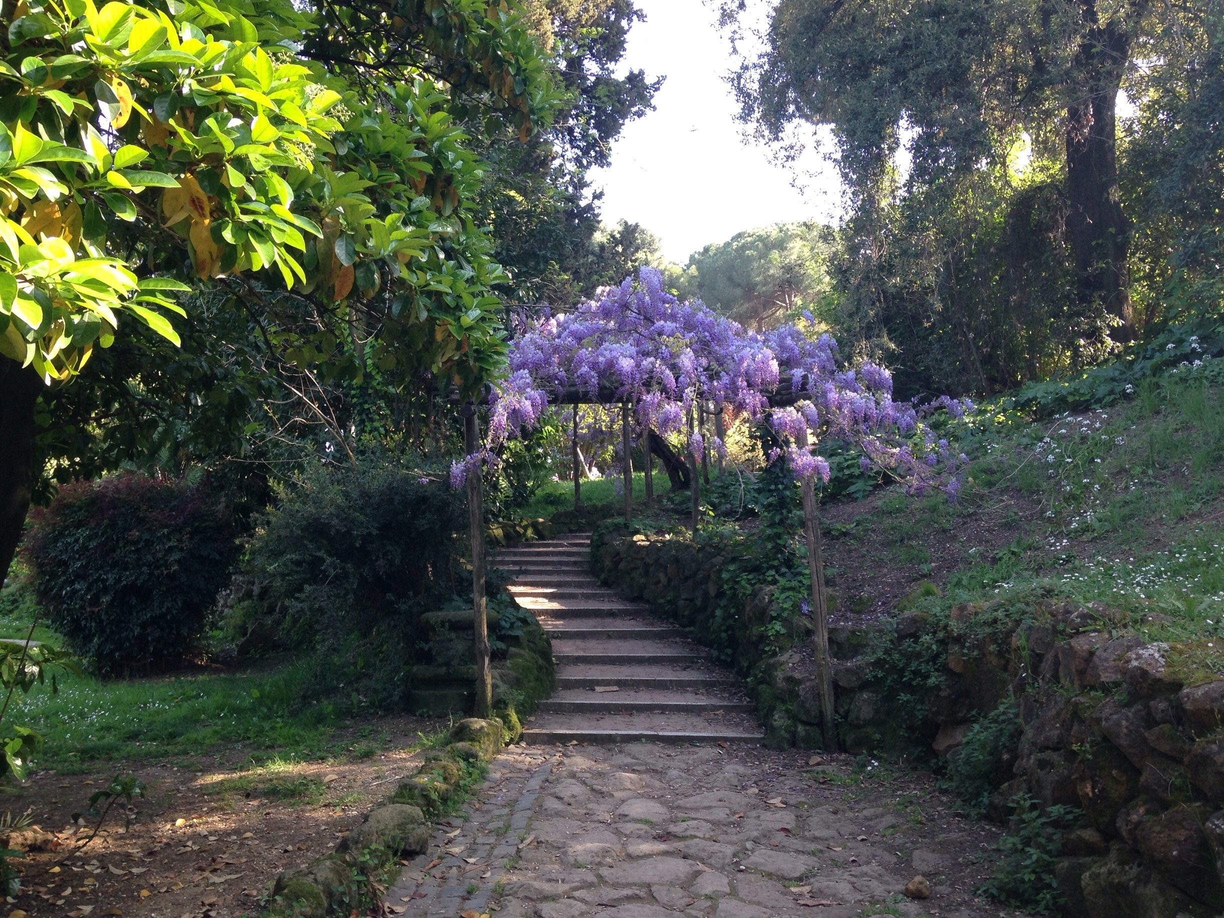 This is my favorite spot in all of Rome. In the spring it's at its best, because the fountains are on and the flowers will be blooming. I like it a lot better than Villa Borghese because its less crowded, and you still can get a great view of the city! There's also usually a lot of dogs here too, which is great 