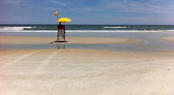 A beautiful beach with lifeguards, turtles and that's it!