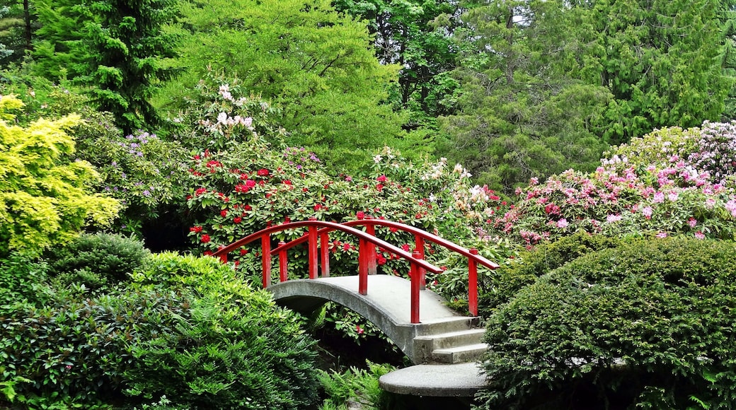Kubota Garden, Seattle, Washington, United States of America