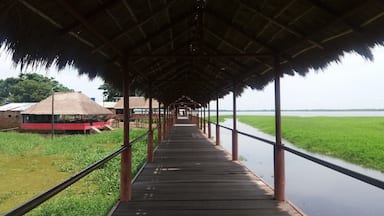 El Llanito es un corregimiento de Barrancabermeja, Santander. Al llegar encontramos que sus habitantes se dedican al turismo, por ejemplo, a la venta de comida típica, los paseos en lancha o moto acuática y el alquiler de hamacas, etc. Si estás en Barrancabermeja lo mejor que puedes hacer es ir a El Llanito y apoyar el trabajo de estas personas. Las comidas deliciosas y el paisaje inigualable. Vista de más de 180° a la Ciénaga.