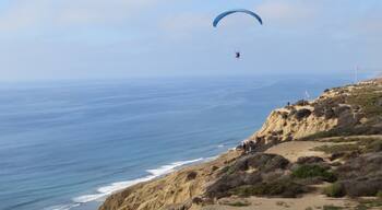 She looks so peaceful gliding above the cliffs at Torrey Pines Park.  It's a long way down to the Pacific from here!