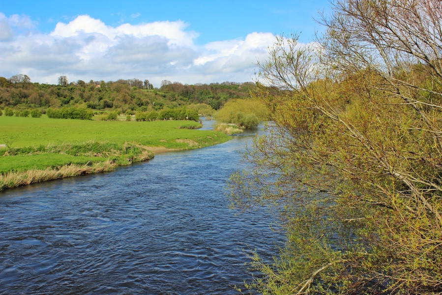 The River Boyne as seen from Newgrange Park in the Boyne Valley #green