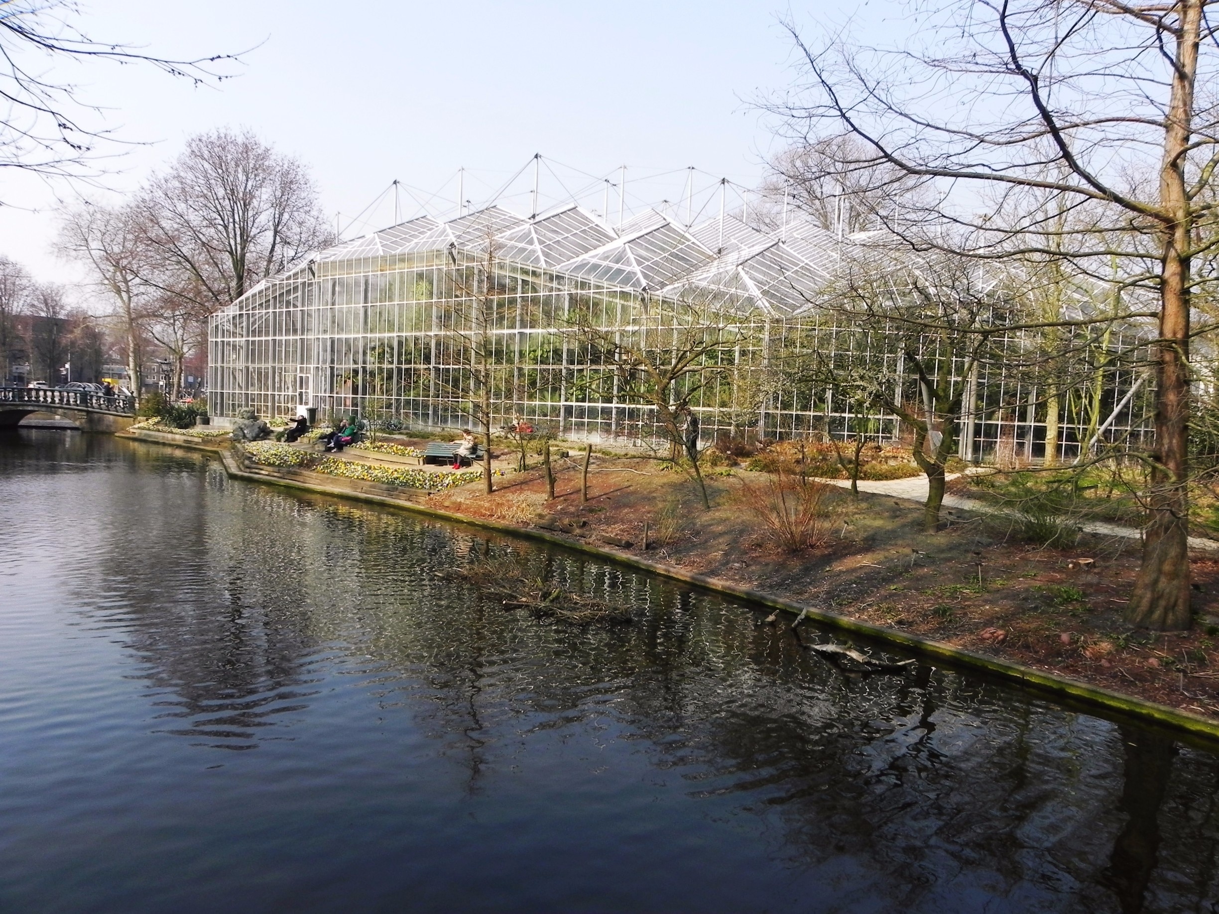 A lovely day spen in Amsterdam's Botanical Gardens: http://cityoftheweek.net/2015/04/10/amsterdam-in-bloom/