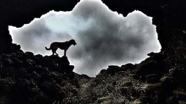 The fall is a beautiful time .... a little windy these days here in Iceland🇮🇸 I took this photo from inside of a cave today 🐶🌘
#silouettesunday
#hiking
#Iceland