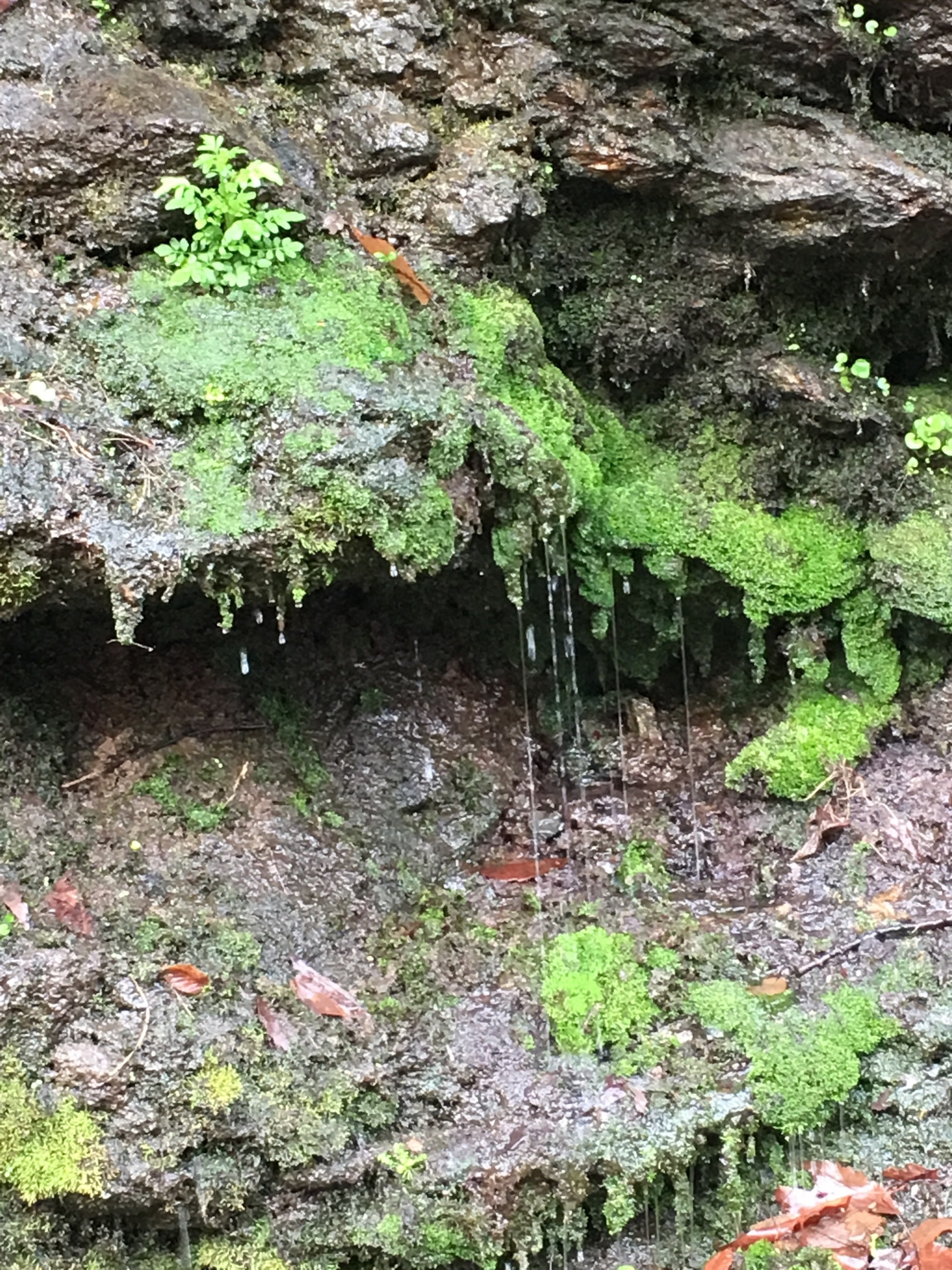 Visit Wyndmoor 2023 Wyndmoor, Philadelphia Travel Guide Expedia