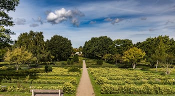 Single bench among green and grass bushes