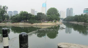 The waterways around Jakarta and absolutely filthy, no other word for it. Those responsible for city infrastructure either cannot cope or do not try hard enough. You'll see people swimming in here. Look at the smart new buildings behind. What a contrast!  #water