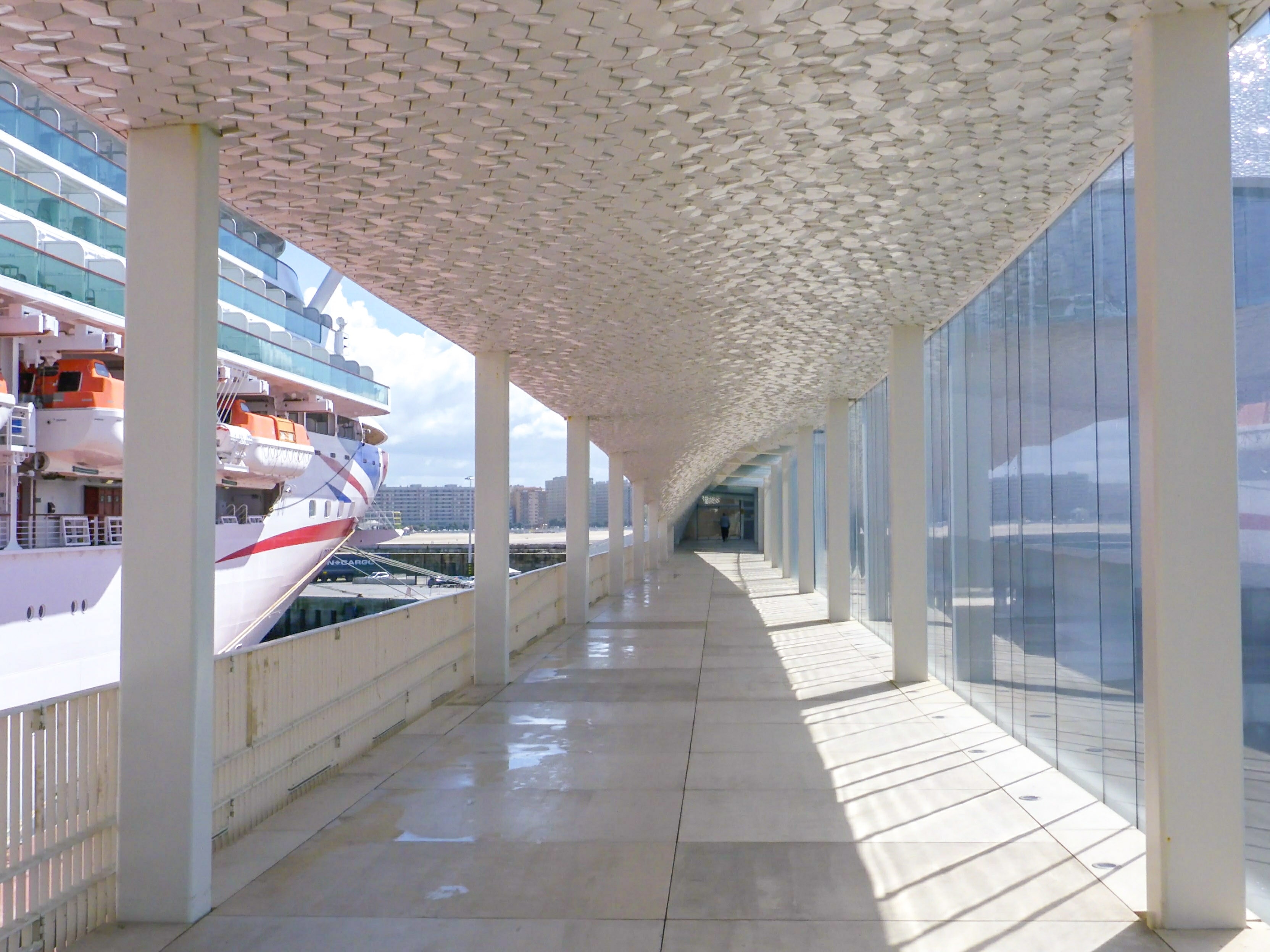 Leixoes cruise terminal, which serves Porto. Viewed to the left is P&O Azura. The terminal building is cladded with honeycomb style tiles.
