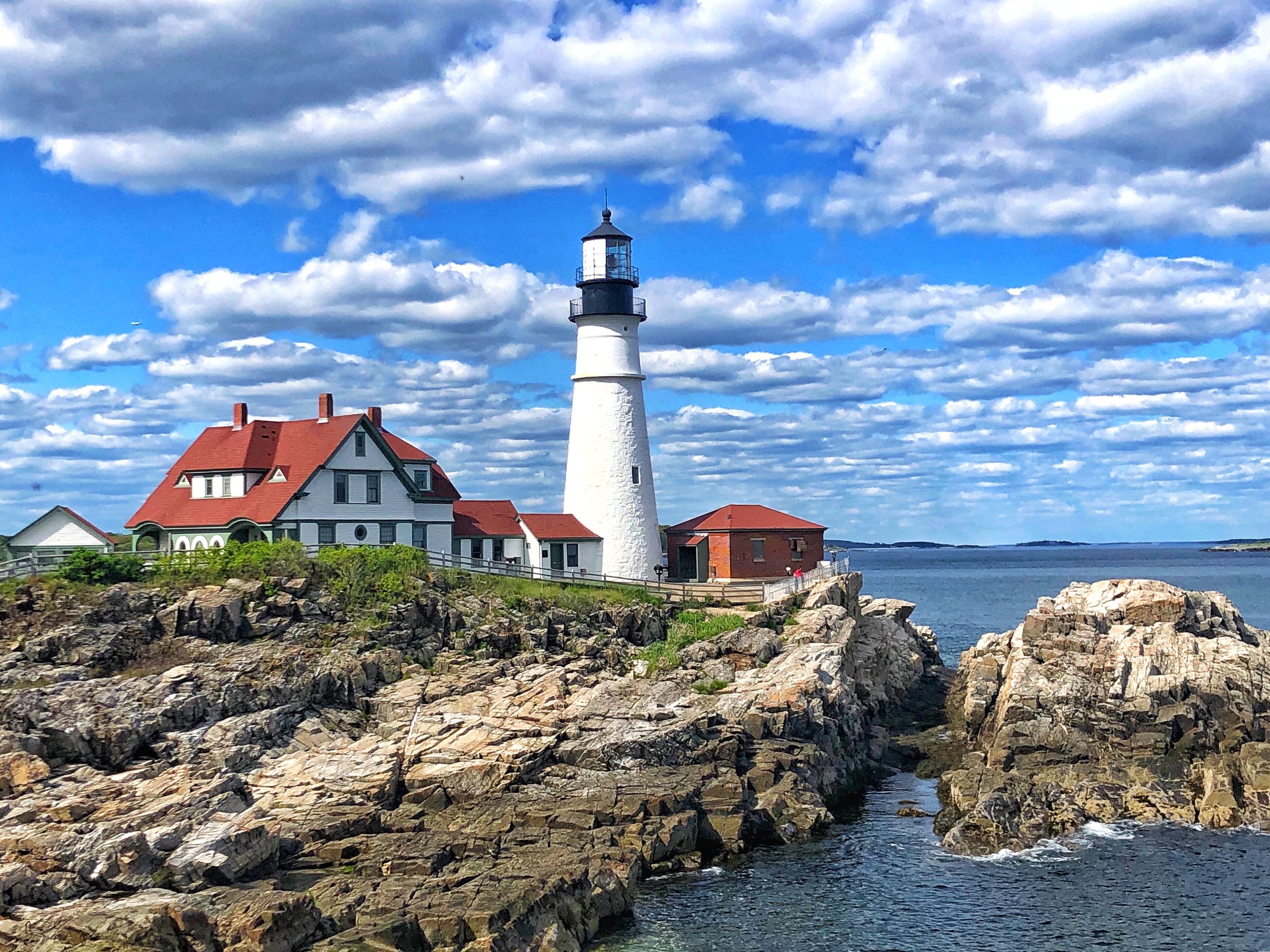 are dogs allowed at portland head light