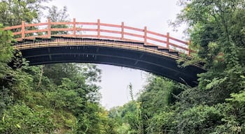 Nice scenic trails in this park not far from downtown.