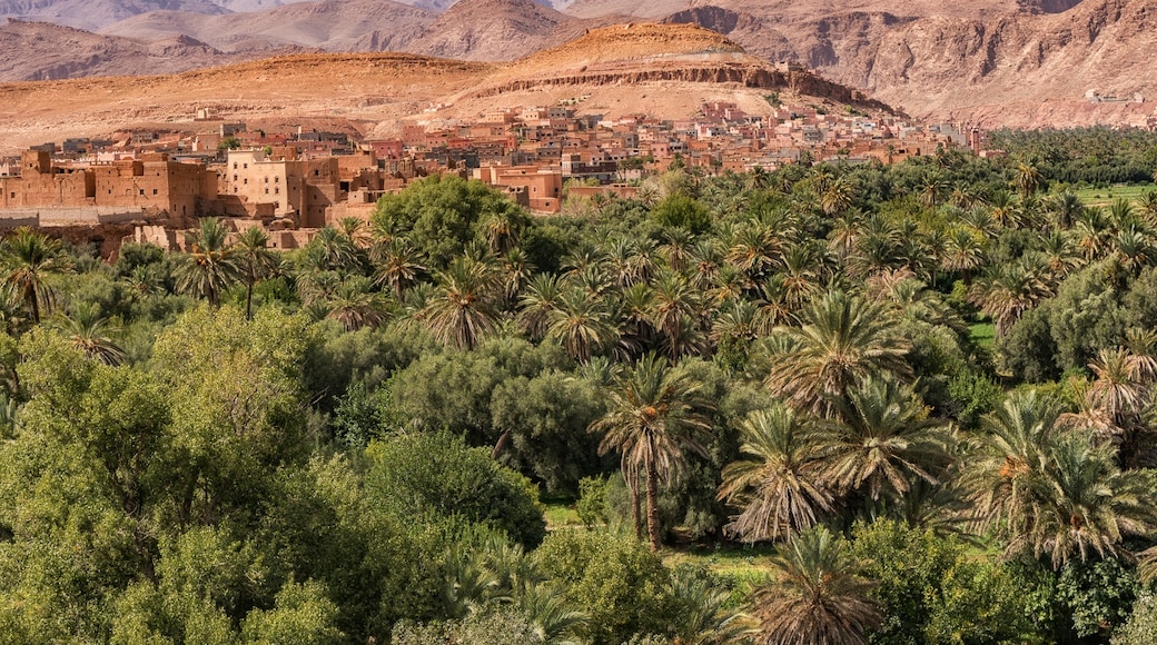 Boumalne Dadès, Région du Drâa-Tafilalet, Maroc