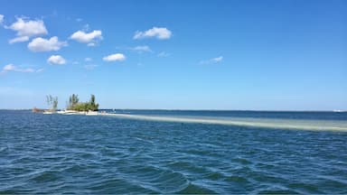 Bars of sand on the ICW
Florida East Coast.
Lunch spot next trip!