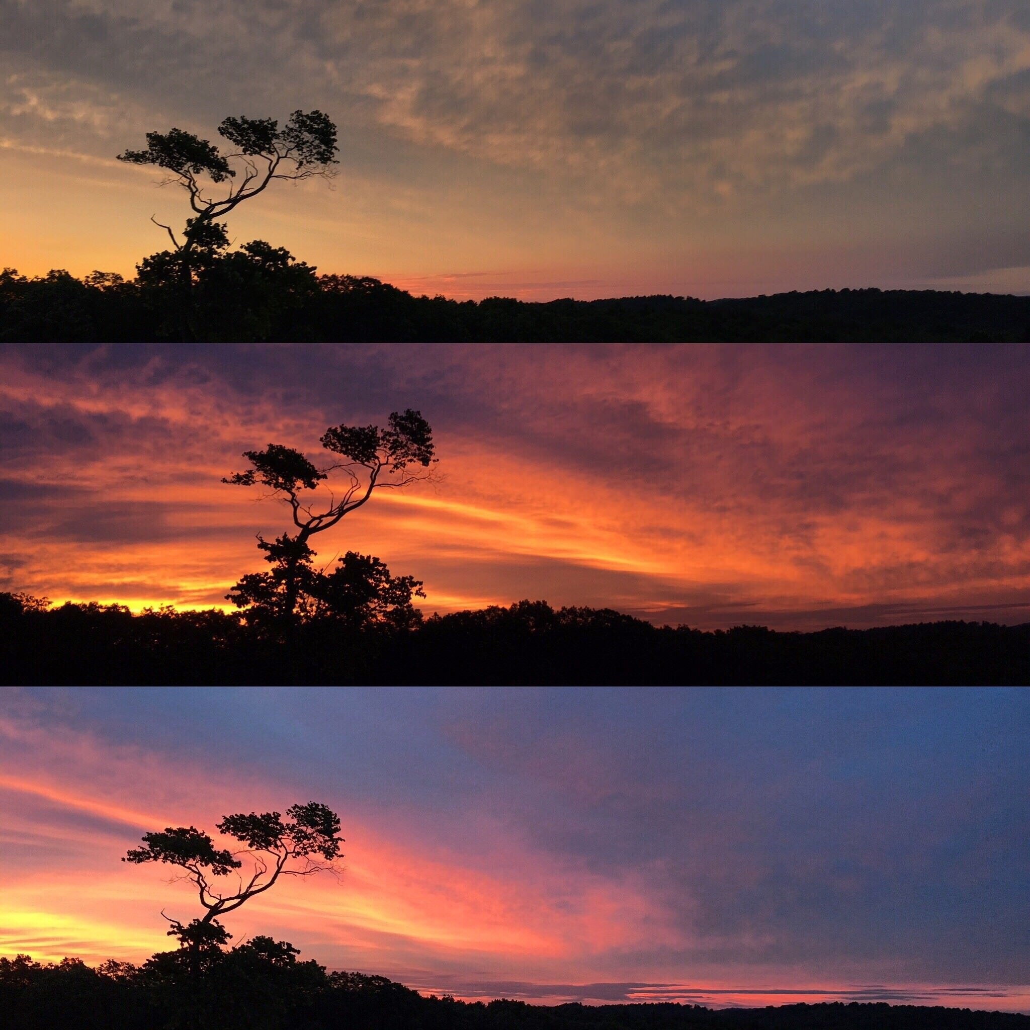 Visit Glade Valley 2020 Travel Guide for Glade Valley, North Carolina