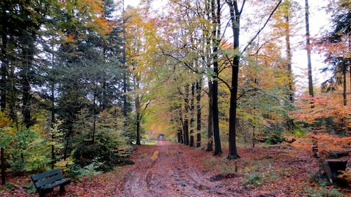 Foto van Jan Lalkens