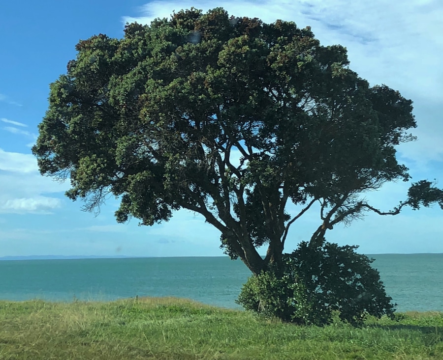 The turquoise blue if the water as you take the coastal drive from Napier to Gisborne.