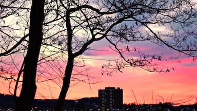 A beautiful sunrise on the Susquehanna River at the Northumberland Boat Club on March 20th, 2018

www.tonybendelephotography.com

#Outdoors #Nature #Landscape #Sunrise #Sky #Clouds #Colors #Colorful #River #Water #SusquehannaRiver #Travel #Adventure #Trees