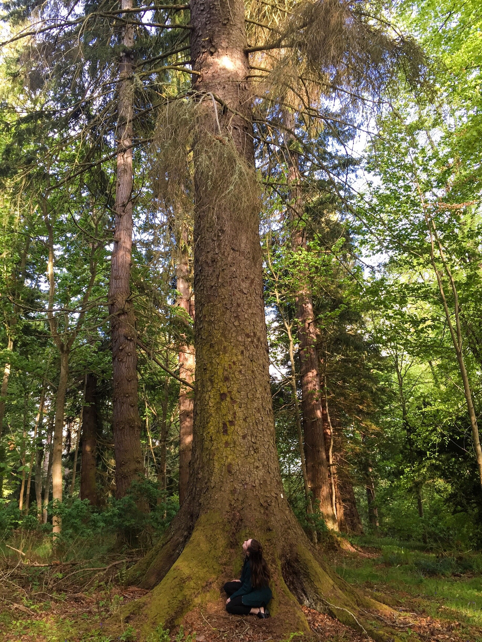 Foto tomada por Anna Richards