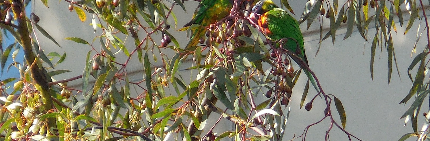 Melbourne, Victoria, Ástralía