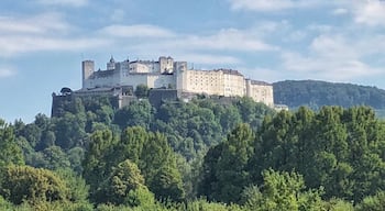 We spotted this driving to the Untersbergbahn/ cable car South of Salzburg. Great view of the Howensalzburg Fortress with trees below it. 