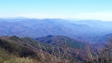 Stunning 360 view at the top of this fire tower 