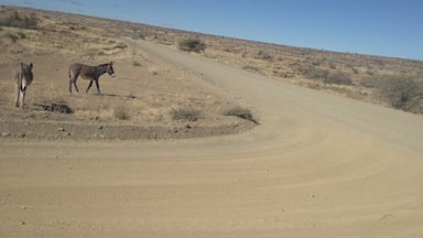A few hours outside of Windhoek, near the town of Rehoboth. The main road is bumpy and dusty, with donkeys and antelope nearby