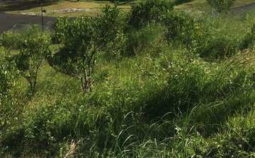 テイテイ観光ガイド 定番人気スポットを参考に自分にピッタリの観光プランを立てよう エクスペディア テイテイ観光ガイド 定番人気スポットを参考に自分にピッタリの観光プランを立てよう エクスペディア