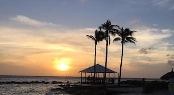 Gorgeous view at the Marriott Resort in Curaçao during a visit to our sister island. 