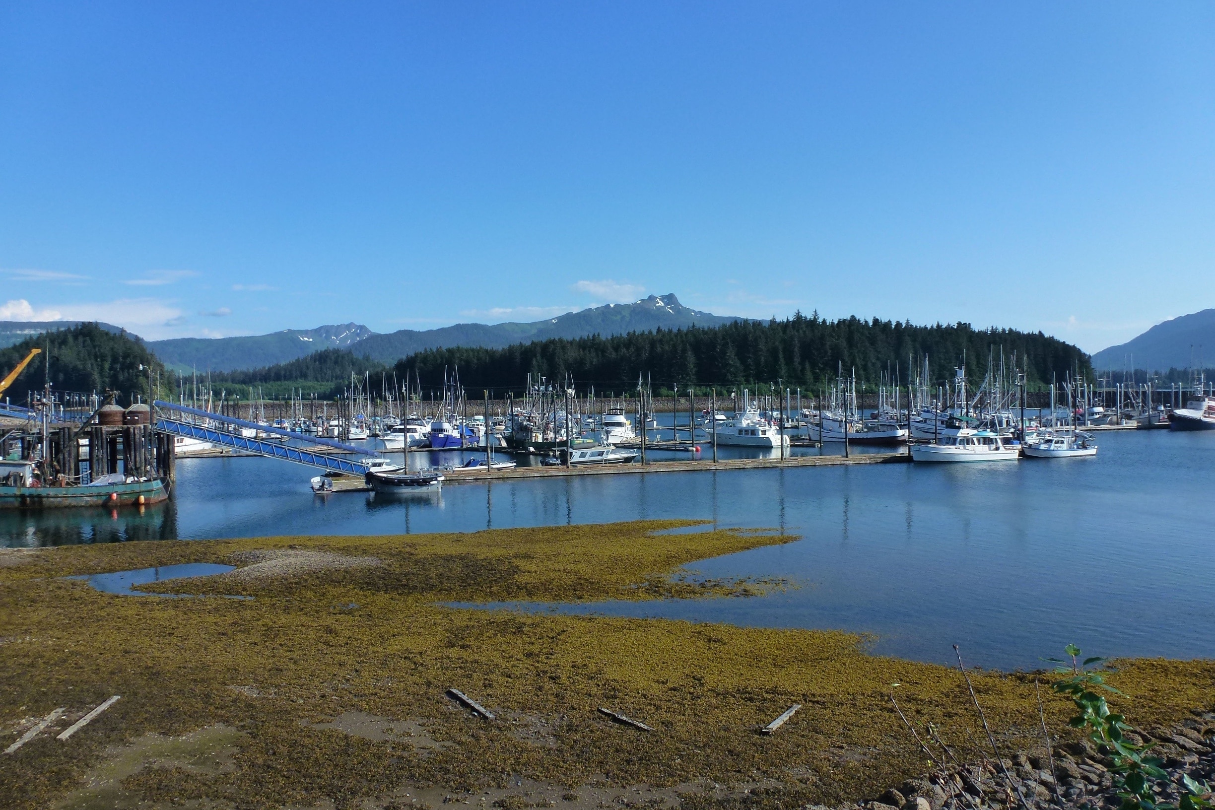 Visit Hoonah Best of Hoonah, Alaska Travel 2023 Expedia Tourism