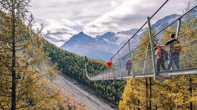 World’s longest suspension bridge ! Steep hike from Randa (600m elevation gain) but so worth the effort ... #golden