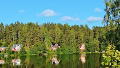 Would you like to live in Finland near city Hämeenlinna. Ashore lake Armijärvi. Armijärvi is about 800 metre long and 150 metre wide groundwater lake. At its deepest about 9 metre.