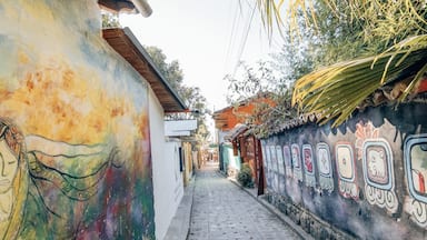 San Marcos is known for its art and yoga! The lifestyle in this lake side village is so peaceful and relaxing. Every corner there is new art to be found! On this photo, the painting to the right represents the Mayan calendar which Guatemala has done an amazing job with preserving the Mayan culture!
#culture #guatemala
