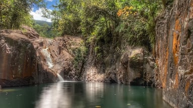 Finch Hatton Gorge waterfall - iPhone Xs max