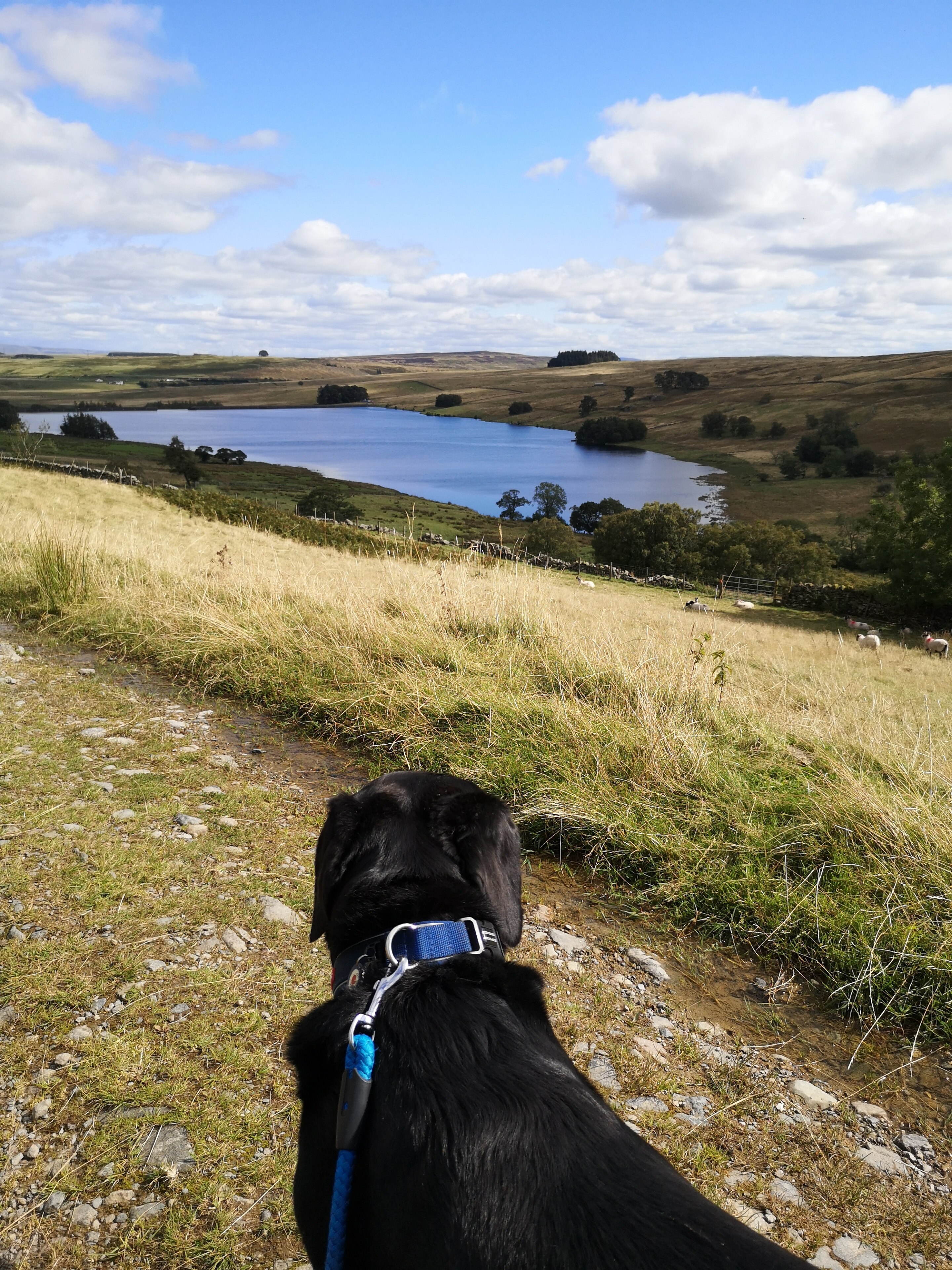 Foto av Sharon Sunshine 