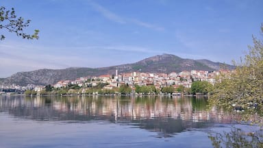 #LifeAtExpedia

~Lake reflecting beauty~

Tip: Wake up early with the first light of the day, rent a bike and enjoy the stunning mirror that Lake Orestiada makes in which the city reflected!