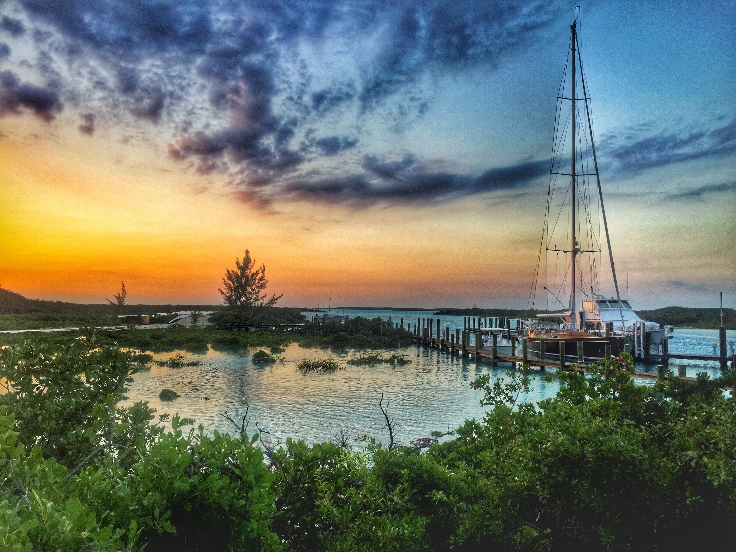 10 TOP Things to Do in Compass Cay June 2023 Expedia