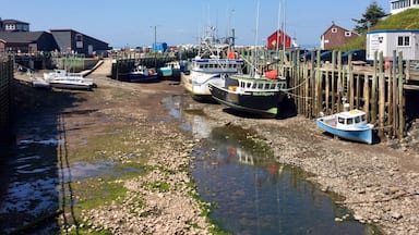 Low tide at Halls Harbor. Located on the bay of Fundy this area has tidal changes of 40-52 feet daily. Really amazing to see. 