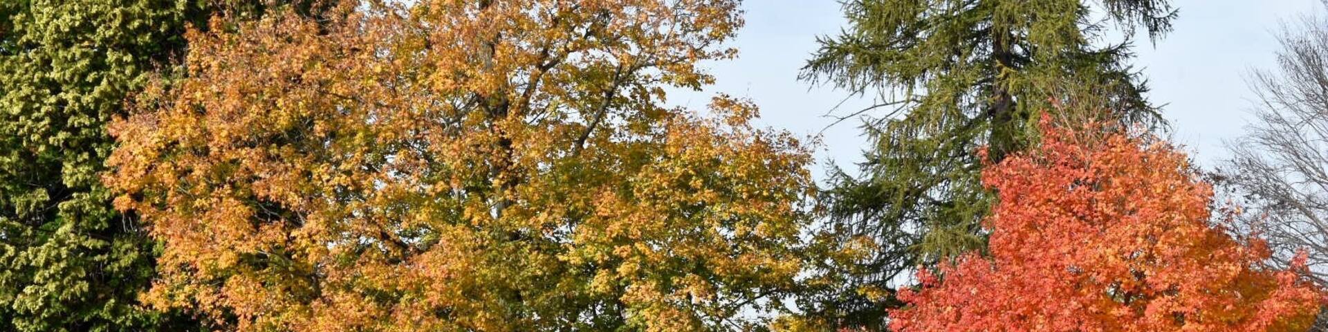 Historic church & graveyard