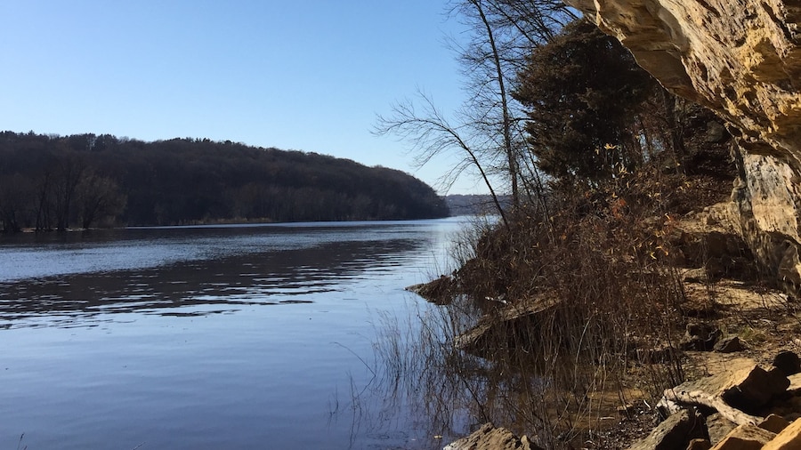 The St. Croix river reflects up onto the underside of the cliffs above. Hiking south from the boom cave between the cliffs and the river in the fall after the foliage has dropped. You can hike about three tenths of a mile to just below the scenic overlook before you hit a private property line. A short but fun hike with views you won't find elsewhere. Also, the tree in the upper left is growing straight upside down from the cliff above.