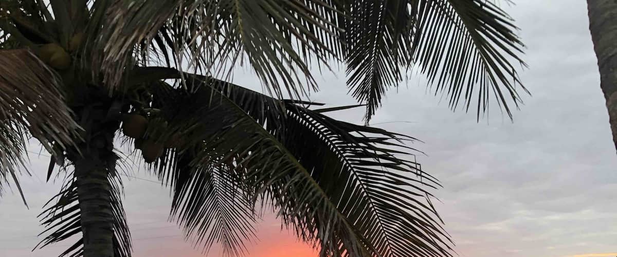 Beautiful Sunset