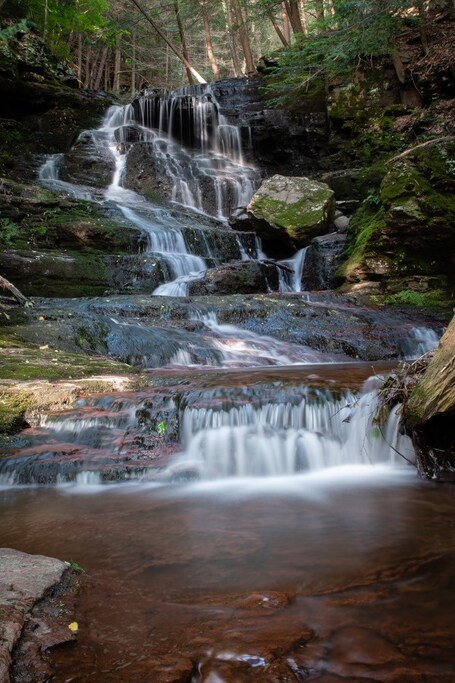 value: "Found some waterfalls at Prompton state park."
