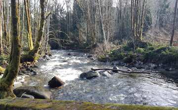 レディスミス観光ガイド 定番人気スポットを参考に自分にピッタリの観光プランを立てよう エクスペディア レディスミス観光ガイド 定番人気スポットを参考に自分にピッタリの観光プランを立てよう エクスペディア