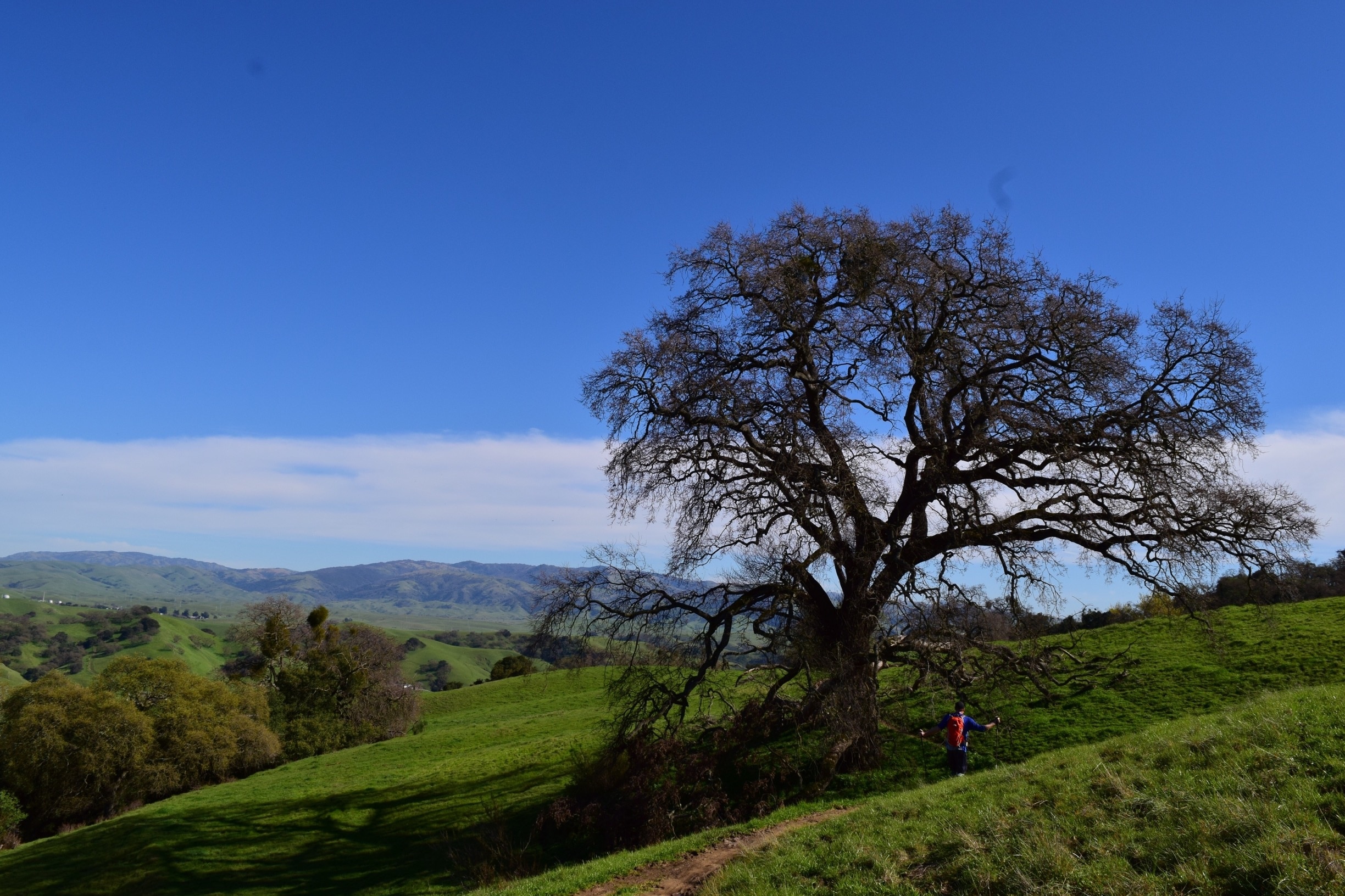 Visita Sunol: scopri il meglio di Sunol, California, nel 2022 | Viaggia