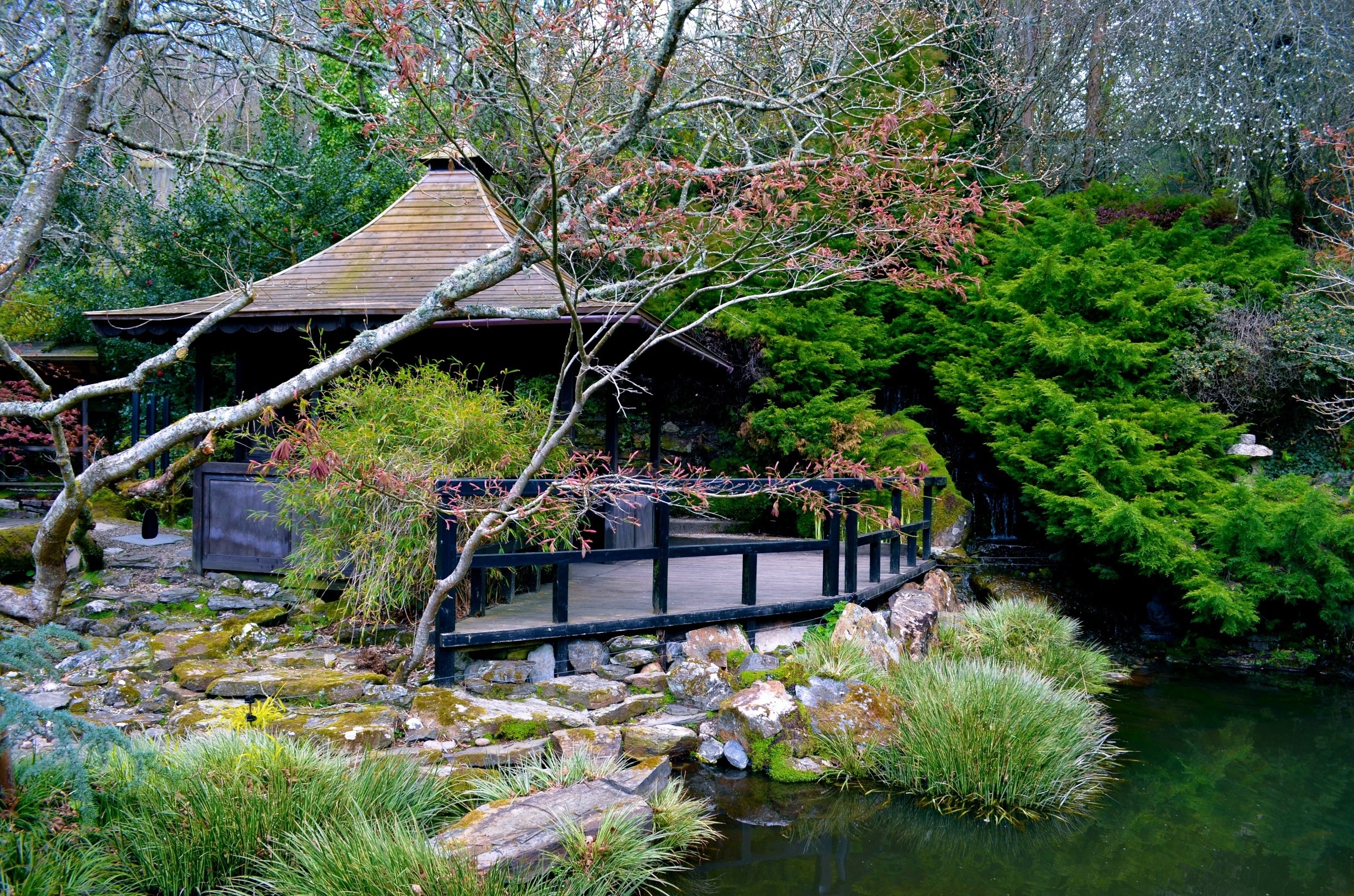 Japanese Garden and Bonsai Nursery, Newquay, England, Großbritannien