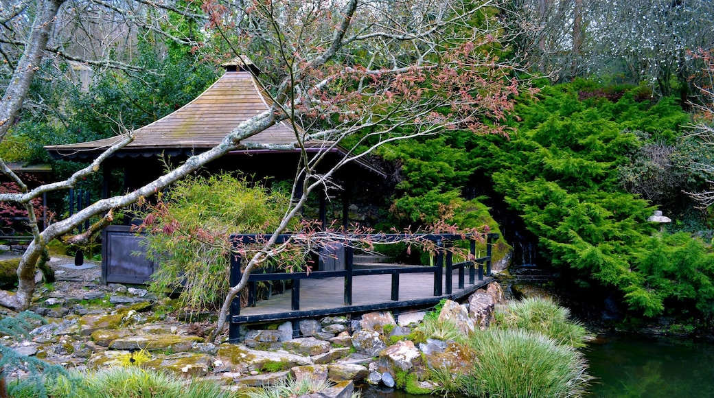 日式花園和盆景苗圃, 紐基, 英格蘭, 英國