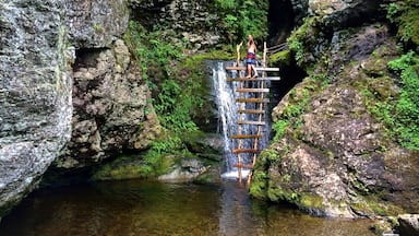 An easy to access swimming hole with a ladder to explore the waterfalls gorge. Only about a 2.5km hike in. 