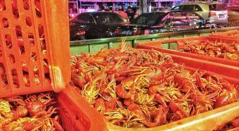 Can you imagine this? A restaurant only to eat Red Shrimp!