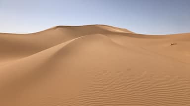 Ladies and Gentlemen- The Sahara Desert In all it’s glory. #earthbound #ergchebbi #saharadesert #saharamorocco #sand #nomadland #nomansland #morocco #africa #harshconditions #berber #flashpackingbarbie #nofilter #desertluxurycamp